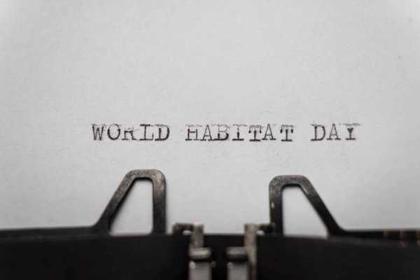 How to Design an Indoor Aquatic Turtle Habitat with Proper Heating and Lighting?