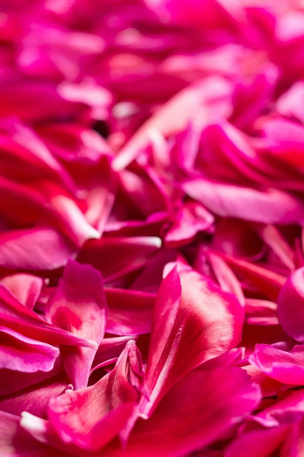 How to create a realistic wedding budget ?